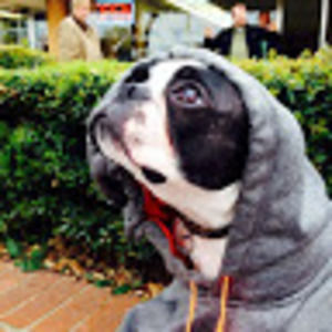 Meet your Posher, Ryan